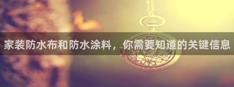 和记国际：家装防水布和防水涂料，你需要知道的关键信息