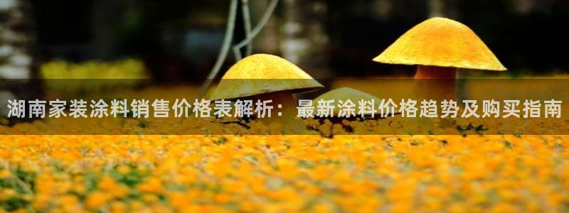 和记港口：湖南家装涂料销售价格表解析：最新涂料价格趋势及购买指南