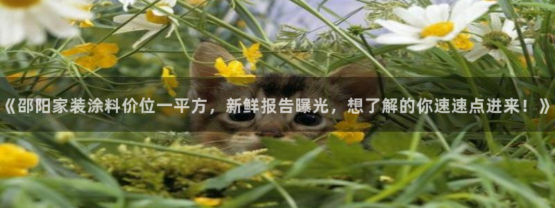 和记5g电讯：《邵阳家装涂料价位一平方，新鲜报告曝光，想了解的你速速点进来！》