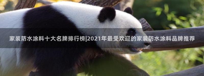 和记国际官网官网：家装防水涂料十大名牌排行榜|2021年最受欢迎的家装防水涂料品牌推荐