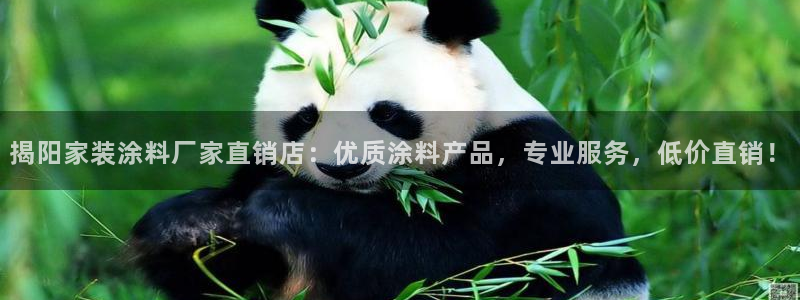 和记ag旗舰厅app