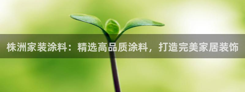 和记ag网页版：株洲家装涂料：精选高品质涂料，打造完美家居装饰