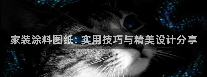 和记 官网：家装涂料图纸: 实用技巧与精美设计分享