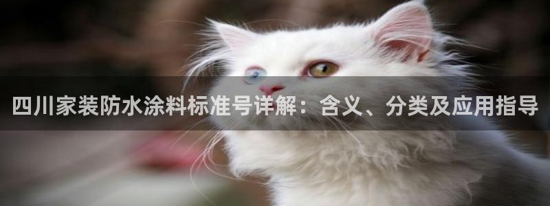 和记官网官方网站：四川家装防水涂料标准号详解：含义、分类及应用指导