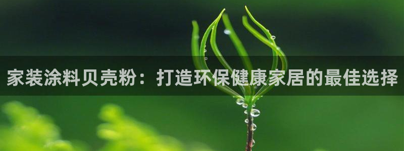 江苏和记数码科技有限公司：家装涂料贝壳粉：打造环保健康家居的最佳选择