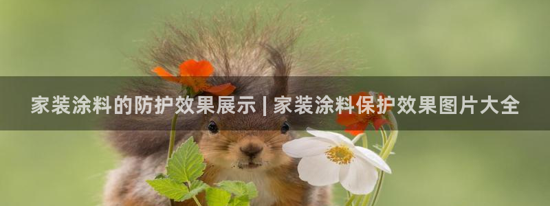 和记平台官网：家装涂料的防护效果展示 | 家装涂料保护效果图片大全