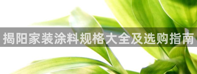 和记hj：揭阳家装涂料规格大全及选购指南