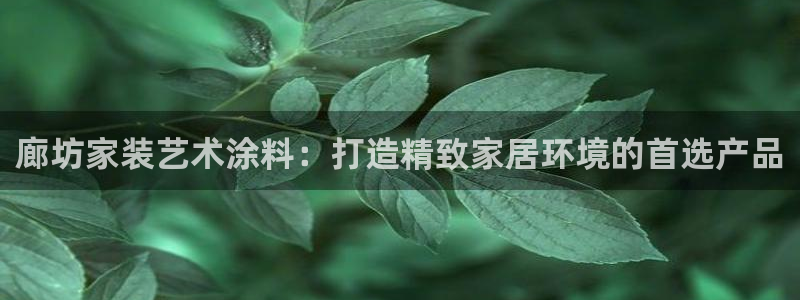 江苏和记数码科技有限公司：廊坊家装艺术涂料：打造精致家居环境的首选产品