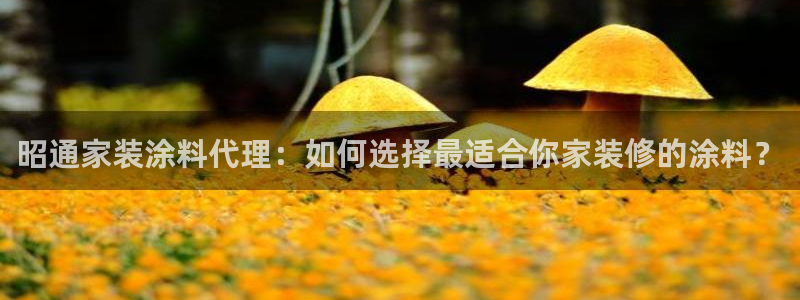 和记港口：昭通家装涂料代理：如何选择最适合你家装修的涂料？
