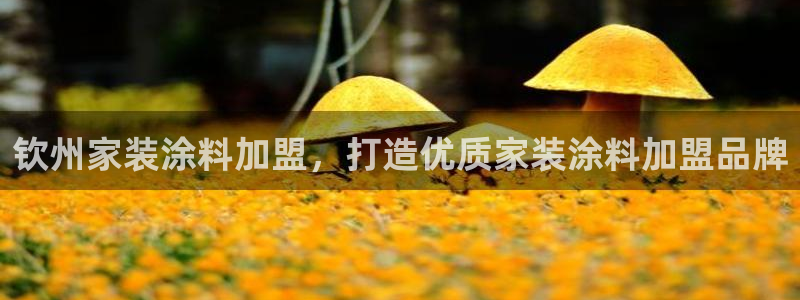 官方和记国际平台登录