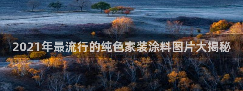 和记平台官网：2021年最流行的纯色家装涂料图片大揭秘