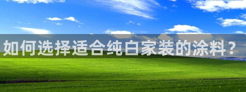 和记广告女主角