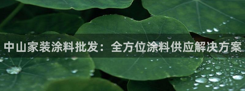 和记ag旗舰国际：中山家装涂料批发：全方位涂料供应解决方案