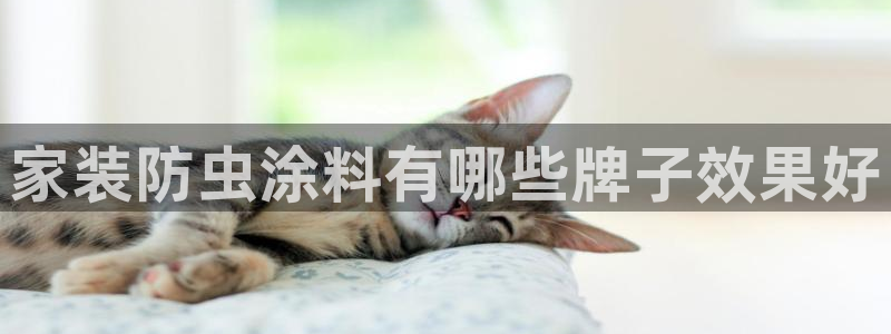 和记AG网站：家装防虫涂料有哪些牌子效果好