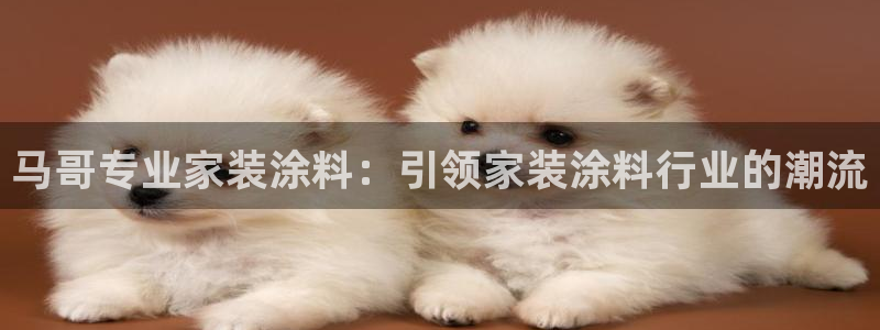 和记网页：马哥专业家装涂料：引领家装涂料行业的潮流