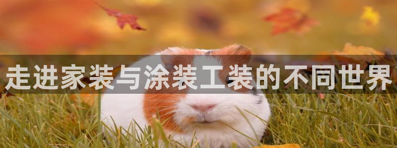 下载和记app：走进家装与涂装工装的不同世界