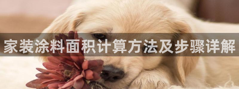 和记下载：家装涂料面积计算方法及步骤详解