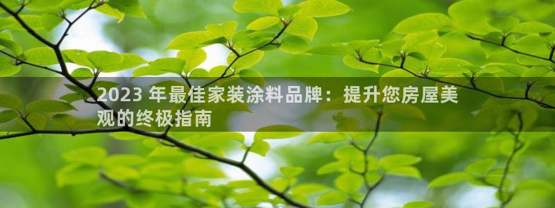 深圳和记科技有限公司：2023 年最佳家装涂料品牌：提升您房屋美
观的终极指南