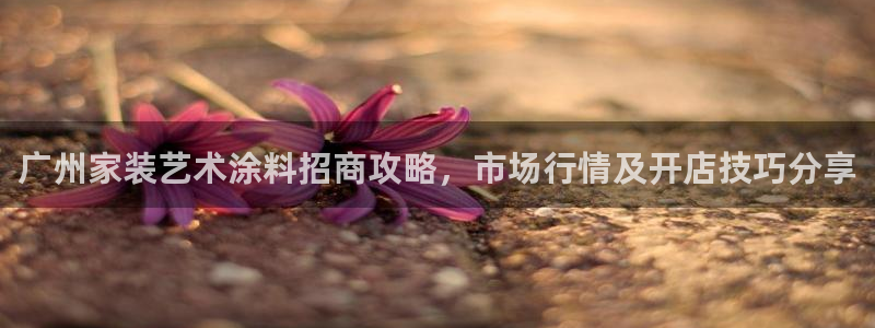 和记 首页：广州家装艺术涂料招商攻略，市场行情及开店技巧分享