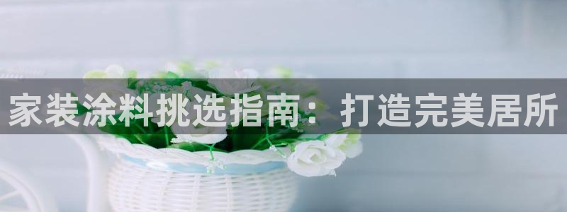 和记国际听：家装涂料挑选指南：打造完美居所