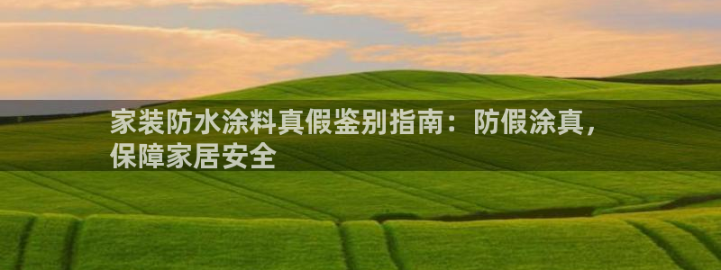 和记h8