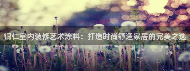 和记网页版登陆：铜仁室内装修艺术涂料：打造时尚舒适家居的完美之选