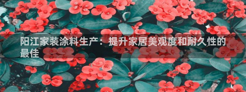 和记国际：阳江家装涂料生产：提升家居美观度和耐久性的
最佳