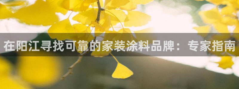 和记官方直营注册导航：在阳江寻找可靠的家装涂料品牌：专家指南