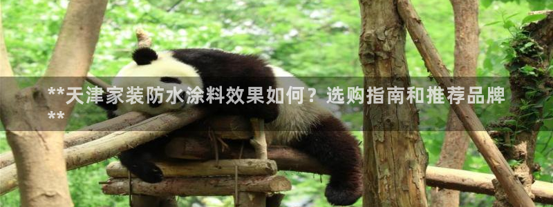 和记网页