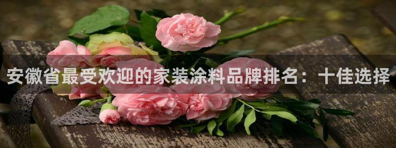 和记国际官网官网：安徽省最受欢迎的家装涂料品牌排名：十佳选择