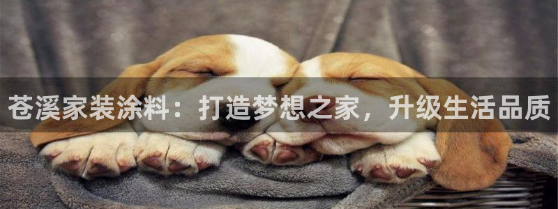 江苏和记数码科技有限公司：苍溪家装涂料：打造梦想之家，升级生活品质