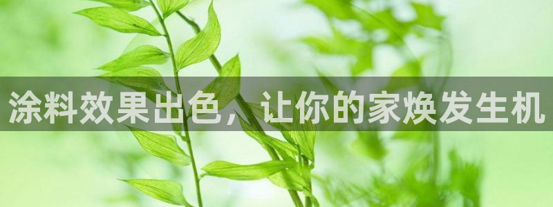 和记登陆：涂料效果出色，让你的家焕发生机
