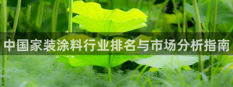 和记官方直营注册：中国家装涂料行业排名与市场分析指南