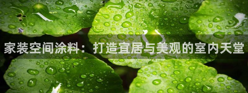 和记网页版：家装空间涂料：打造宜居与美观的室内天堂