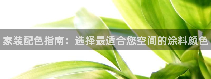 和记娱好网址：家装配色指南：选择最适合您空间的涂料颜色