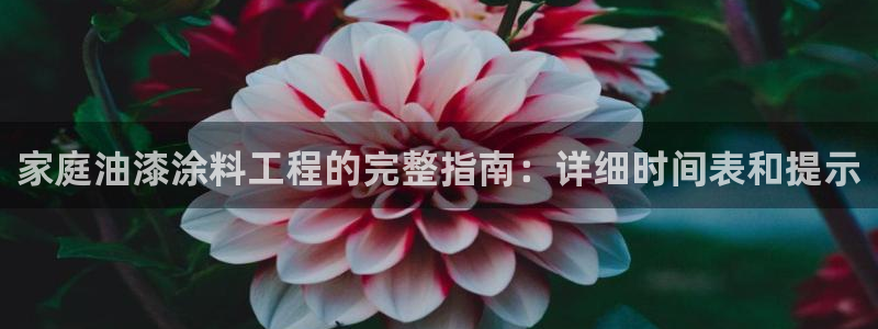 深圳和记科技有限公司：家庭油漆涂料工程的完整指南：详细时间表和提示