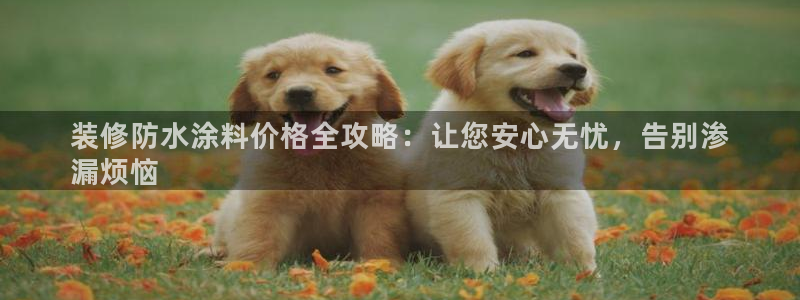 和记官网：装修防水涂料价格全攻略：让您安心无忧，告别渗
漏烦恼