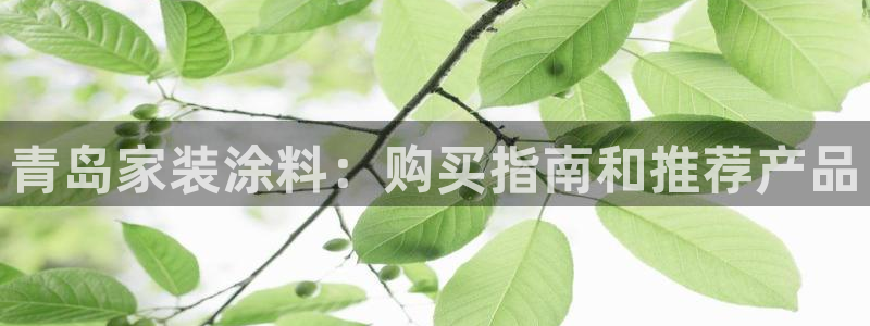 和记国际客服：青岛家装涂料：购买指南和推荐产品