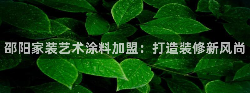 上海和记餐饮：邵阳家装艺术涂料加盟：打造装修新风尚