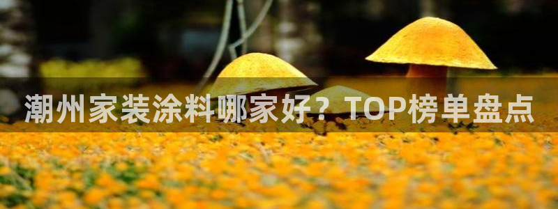 和记官网登陆