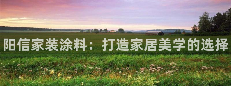 和记电业集团：阳信家装涂料：打造家居美学的选择