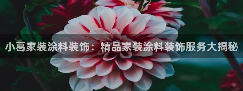 和记平台登录：小葛家装涂料装饰：精品家装涂料装饰服务大揭秘
