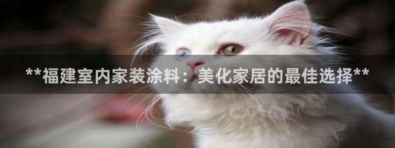 和记官方：**福建室内家装涂料：美化家居的最佳选择**