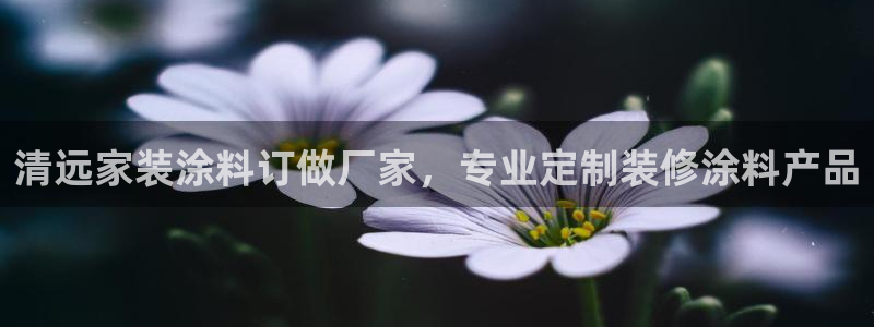 和记ag旗舰国际：清远家装涂料订做厂家，专业定制装修涂料产品