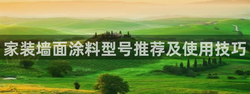 和记旗舰厅：家装墙面涂料型号推荐及使用技巧