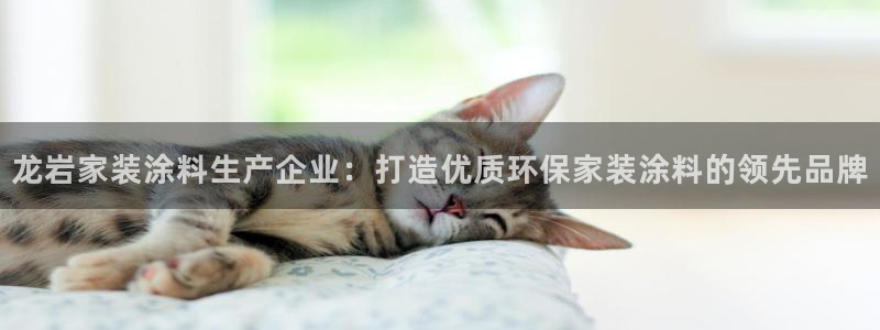 和记国际听：龙岩家装涂料生产企业：打造优质环保家装涂料的领先品牌